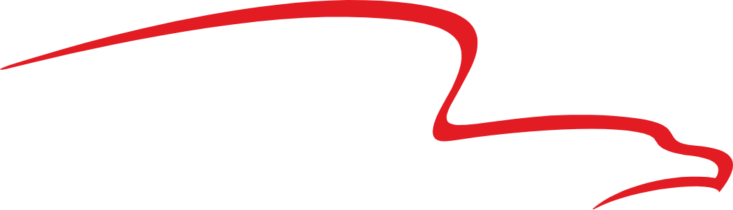 American Financial Group American Financial Group logo