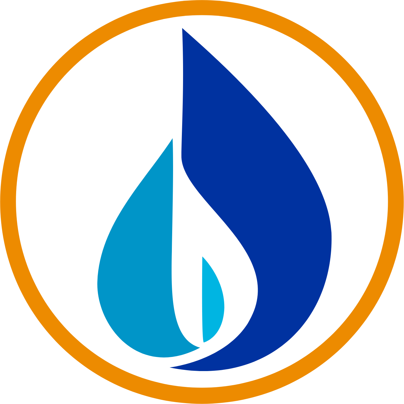 National Fuel Gas Company logo